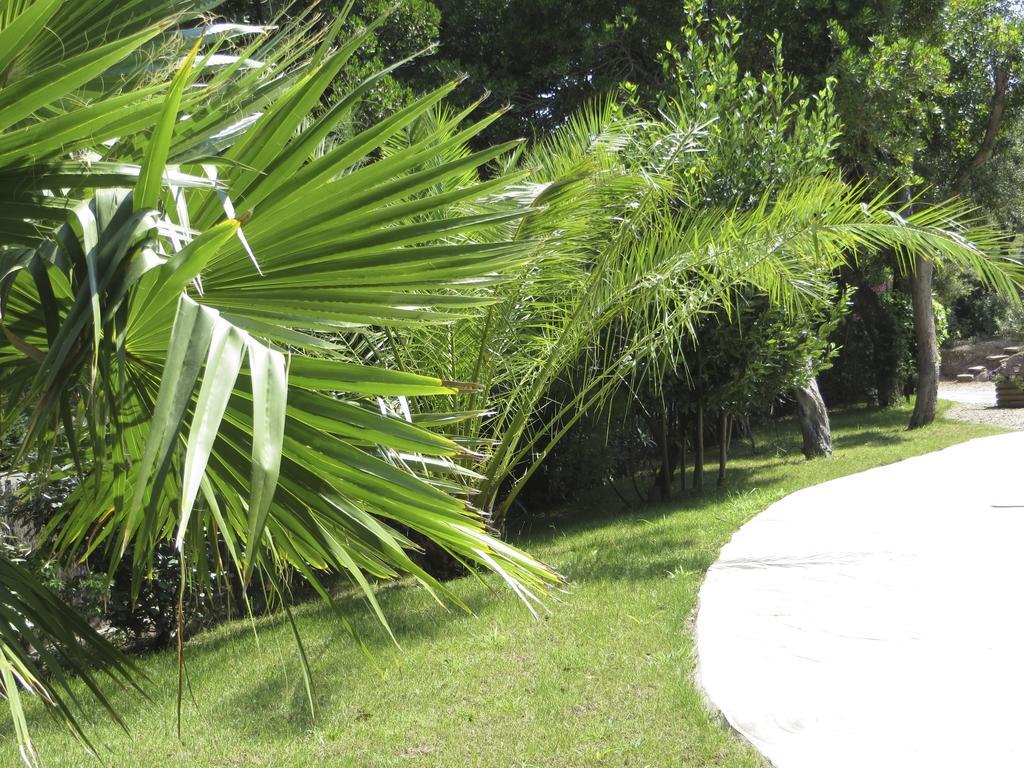 Appartement Dans Villa St Raphael แซ็งต์-ราฟาเอล ภายนอก รูปภาพ
