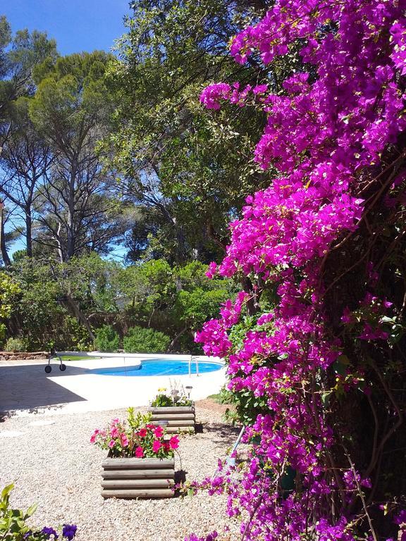 Appartement Dans Villa St Raphael แซ็งต์-ราฟาเอล ภายนอก รูปภาพ